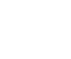 Logo Terravnir-footer